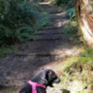 Meet your Posher, Annie